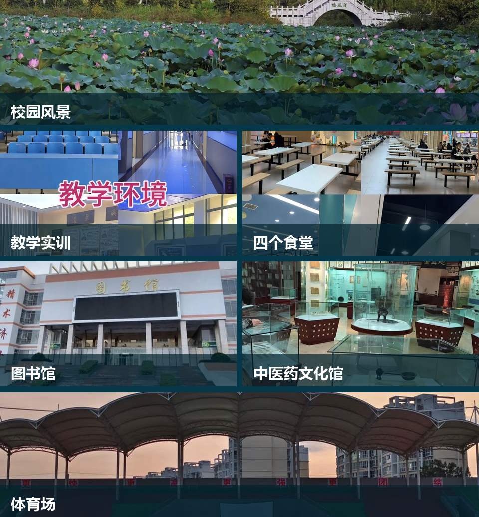 校园风景、教学实训、食堂、图书馆、中医药文化馆和体育场实拍合集